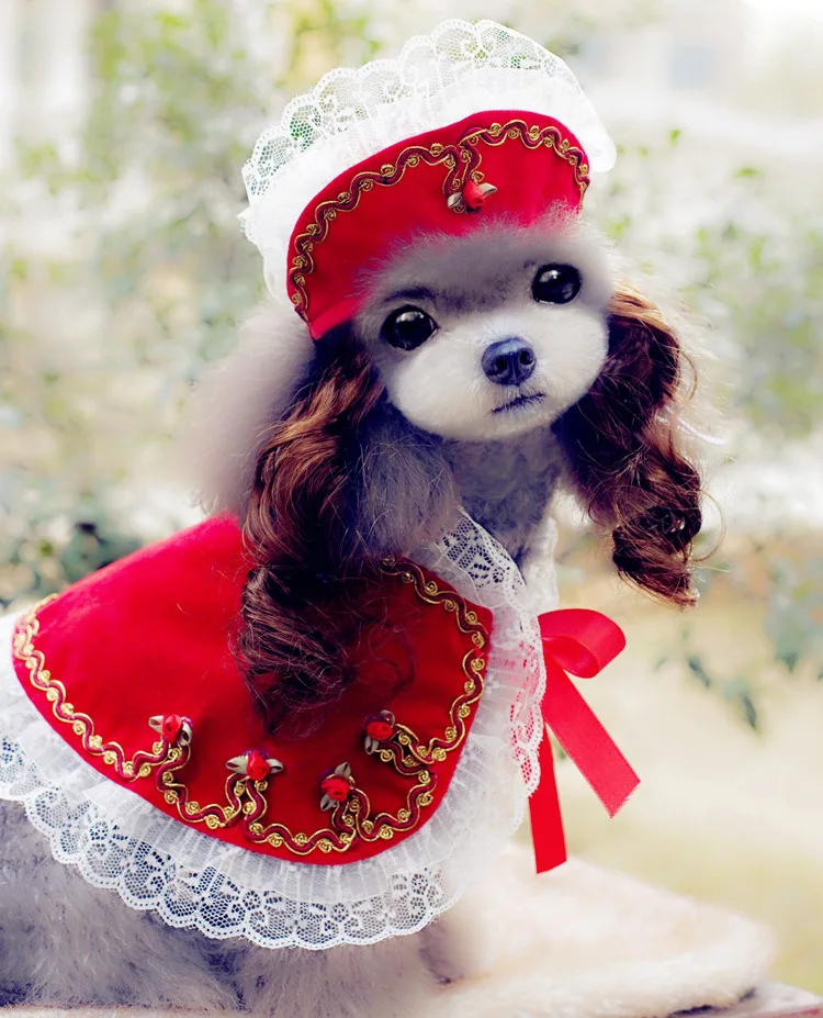 Рождественская одежда для кошек собак принцесс Золотая кепка со шнуровкой и