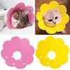Promoción Collar de recuperación para gatos con forma de flor, cono protector para curar heridas de isabelino, para gatito y cachorro qxQKMpaJOAL