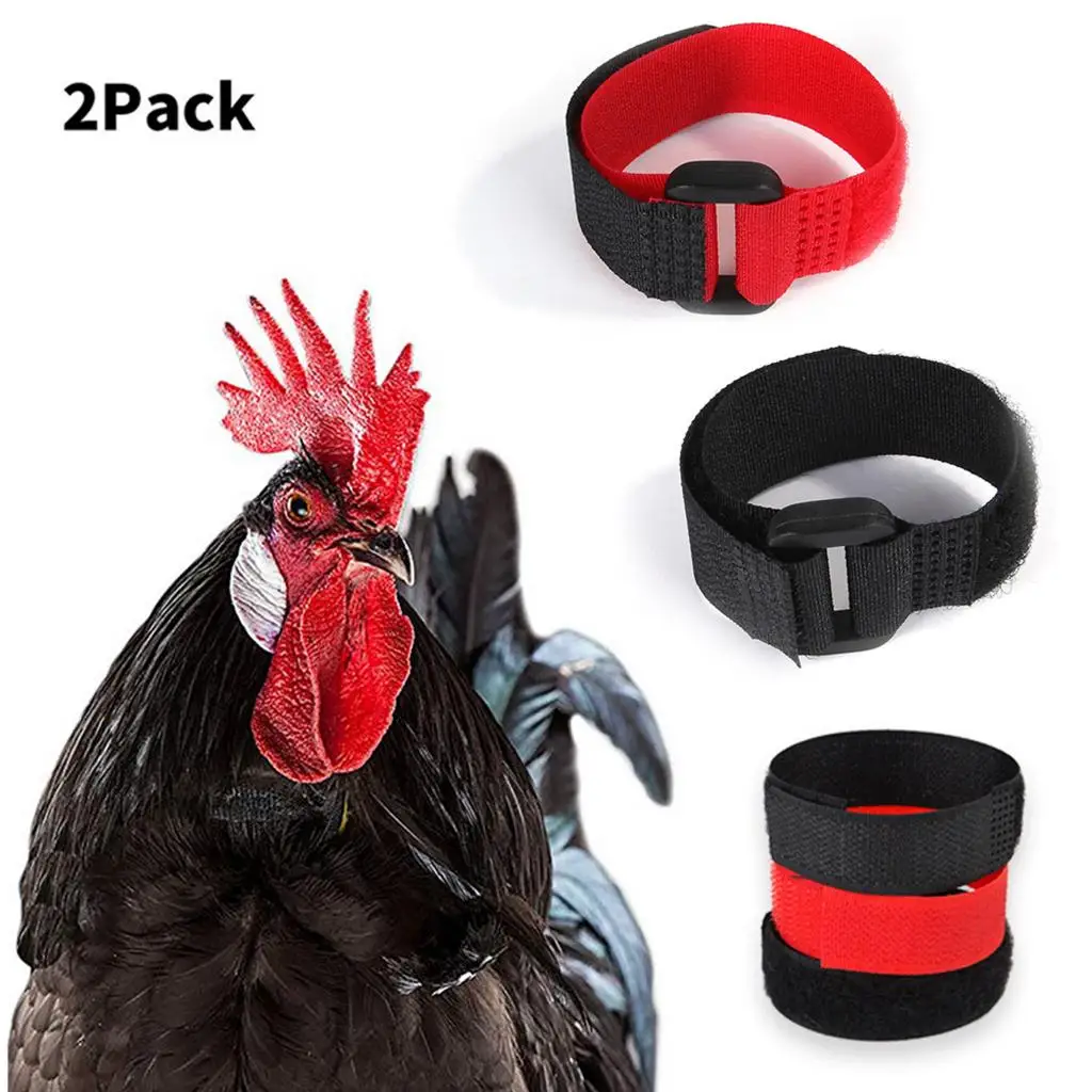 2pcs No Crow Collar for Roosters No Crowing Belt Neckband Poultry Supplies Neckband Anti Hook Neck Belt for Cockerel