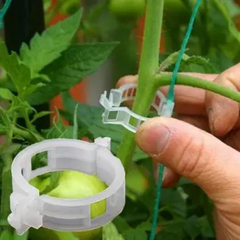 

50pcs/lot Transparent Garden Securing Clip Vegetables Tomato Vine Grow Upright Plant Clips For Garter Plants Agriculture Tools