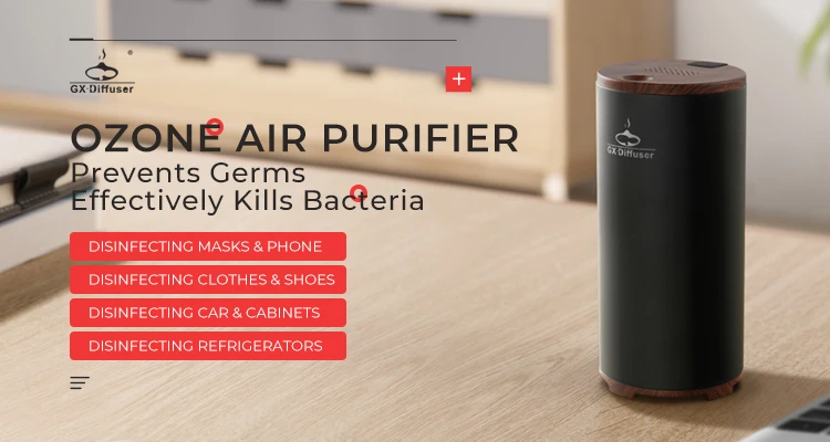 air ozonator