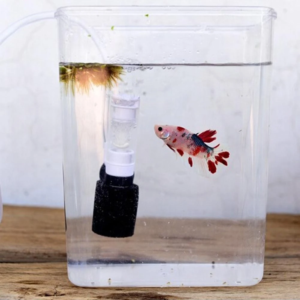 Dynamiek onwettig Betekenis Silent Mini Water Pneumatic Filter For Fish Bowl Aquarium - Filters &  Accessories - AliExpress