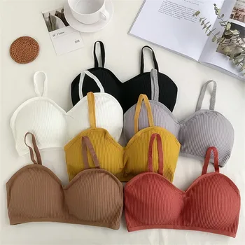 

Sport Bra Womens Push Up Activewear Women No Underwire Seamless Bra Yoga Bra Top For Fitness Top Teens Sports Bra For Women Gym