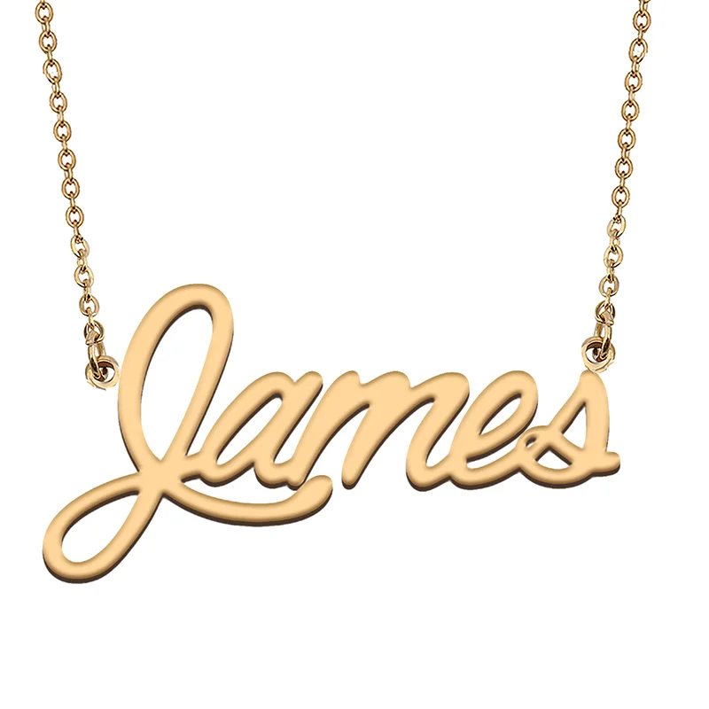 James Custom Name Necklace Customized Pendant Choker Personalized Jewelry Gift for Women Girls Friend Christmas Present audrey custom name necklace customized pendant choker personalized jewelry gift for women girls friend christmas present