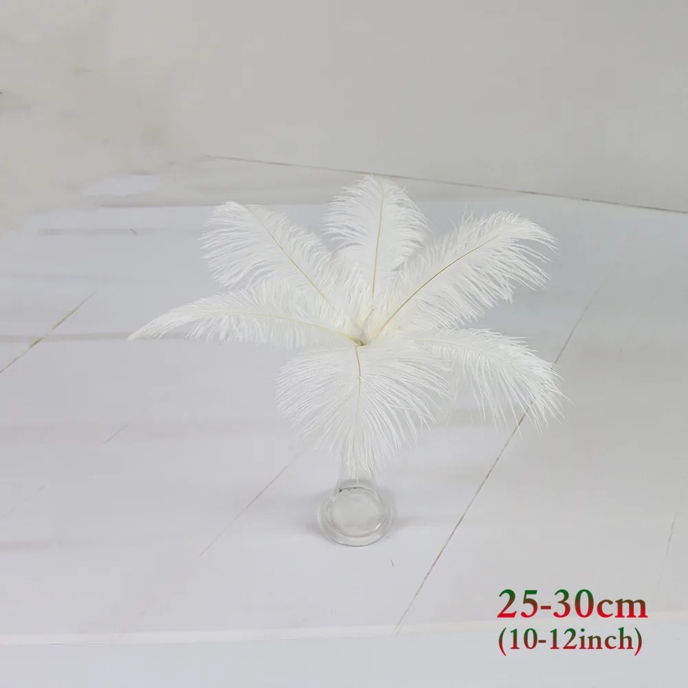 白色 25-30cm 鸵鸟毛 2_副本