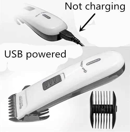 IMG_3732(20200414-161241)