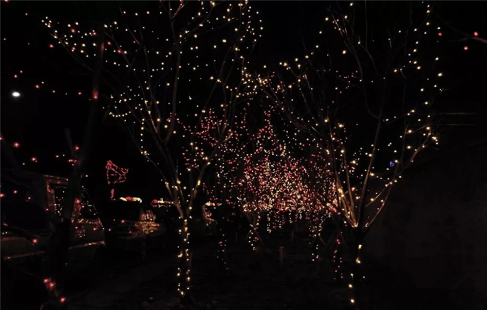 TB2B5kod41YBuNjy1zcXXbNcXXa_!!3064776901