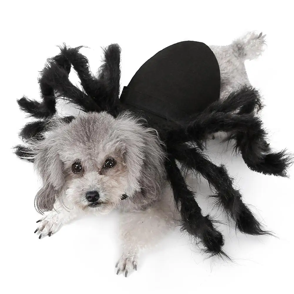 Одежда для домашних животных на Хеллоуин, костюм для косплея щенка, плюша, паука, для собак, кошек, вечерние, для косплея, Забавный наряд, Имитация Черного паука