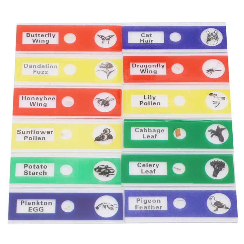 12pcs Kids Prepared Microscope Slides Of Animals Insects Plants Flowers