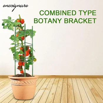 

2020 Plant Support Trellis Assembled Plant Cages Vegetable For Indoor Pot and Outdoor Climbing Plants Tomato опора для растений
