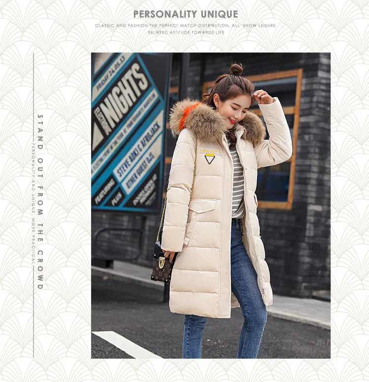 9051454619_1006637240