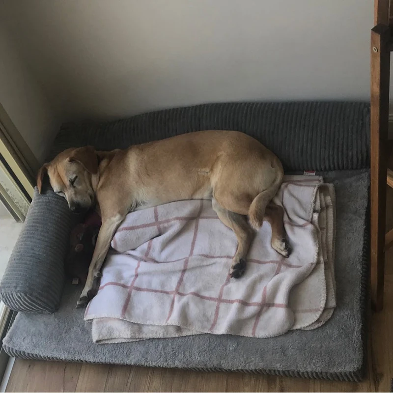 Гнездо для домашних животных Pet диван-кровать для кошки или Собаки Коврик для больших собак моющиеся гнездо стрижки животных сошек, щенок коврик Конура квадратная подушка для домашних животных
