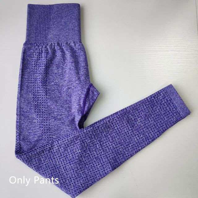 Purple pants Женский Vital бесшовный комплект для йоги, одежда для фитнеса, спортивная одежда, женские леггинсы для спортзала, леггинсы с пуш-ап, укороченные рубашки, спортивные костюмы - Цвет: Purple pants