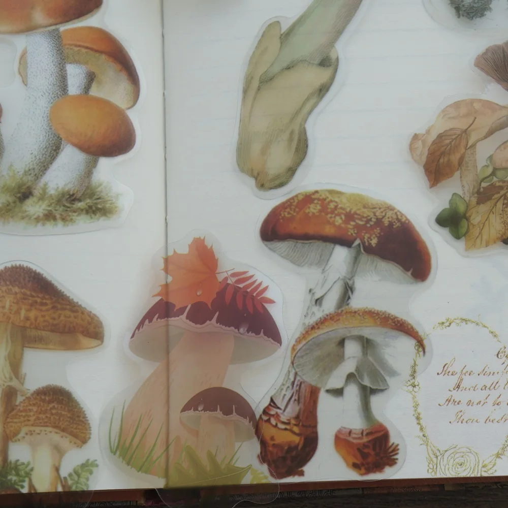 Decorative Stickers Decorative Labels Stickers DIY Scrapbooking Accessories 38pcs Colorful Natural Wild Mushroom Style Transparent Sticker Scrapbooking DIY Gift Packing Label Gift Decoration Tag
