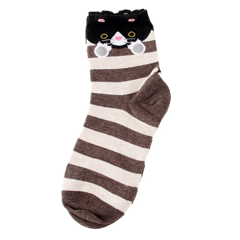 XLP81207697_20181207035136855