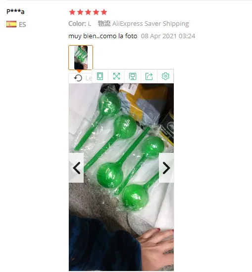 1pc Self Watering Stakes House/Garden Supplies Water Houseplant Plant Pot Bulb Feeder Plastic Automatic Device Plant Waterer