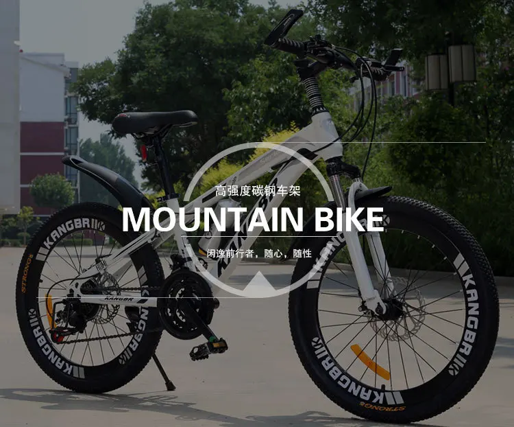 Adult mountain bike 20 inch 22 inch 24 
