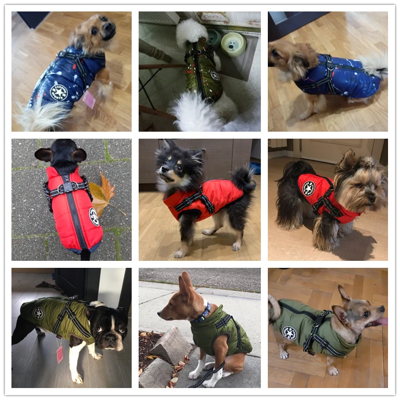 Зимняя одежда для собак для маленьких собак, одежда Водонепроницаемый теплая куртка утепленное хлопковое пальто для маленьких собак для собачек-Мопсов бульдог костюмы собачья шлейка-жилетка