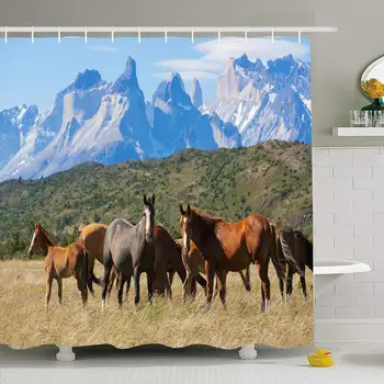 

Shower Curtain Set with Hooks 66x72 Stallion Day Sunny Wild Far Mane Horses National Park Torres Del Animals Wildlife Paine