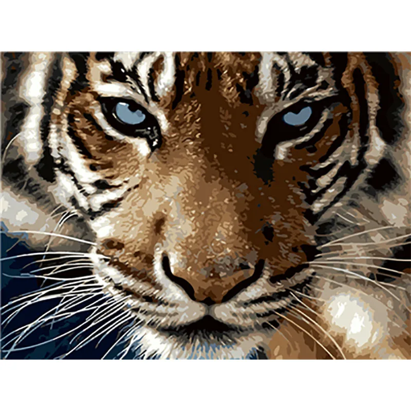 Animale Тигр Сделай Сам краска по номерам для взрослых краска по номерам Schilderen op nummer Pintar por numeros Pintura por numero - Цвет: number painting8