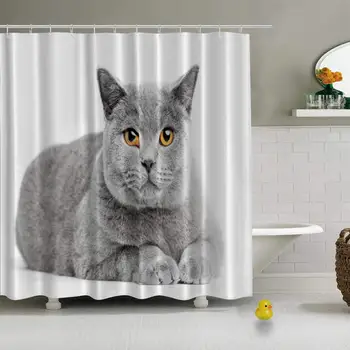 

British Shorthair Cat Isolated On White Photo Creative Shower Curtain for Kids Bathroom,79''L x 72''W