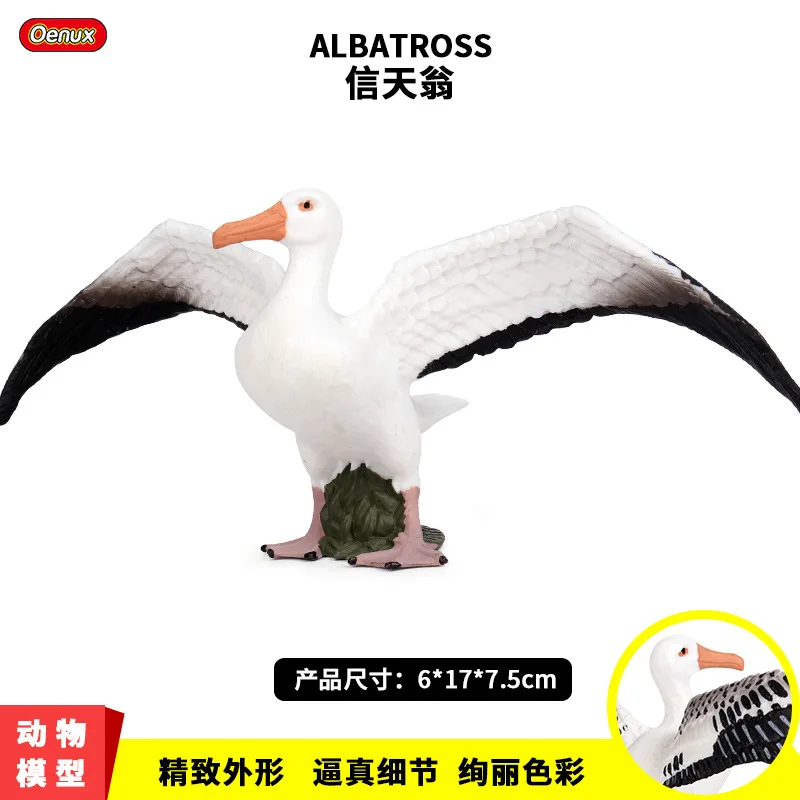 

Model Static Wild Animal World Model Solid Birds Model Albatross Children Plastic Toys Decoration