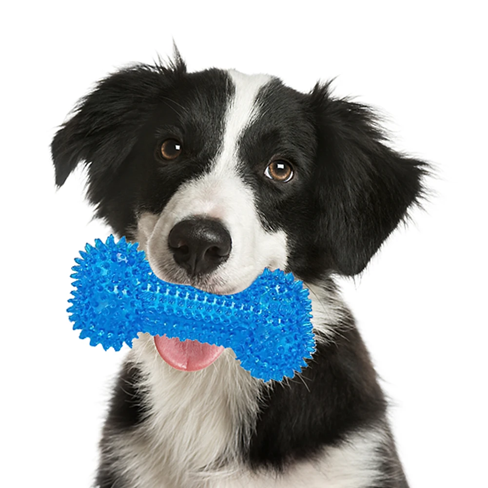 

Dog Toy Interactive Rubber Pet Dog Cat Puppy Elasticity Teeth Ball Dog Chew Toys Tooth Cleaning Balls Toys For Dogs and Cat Toys