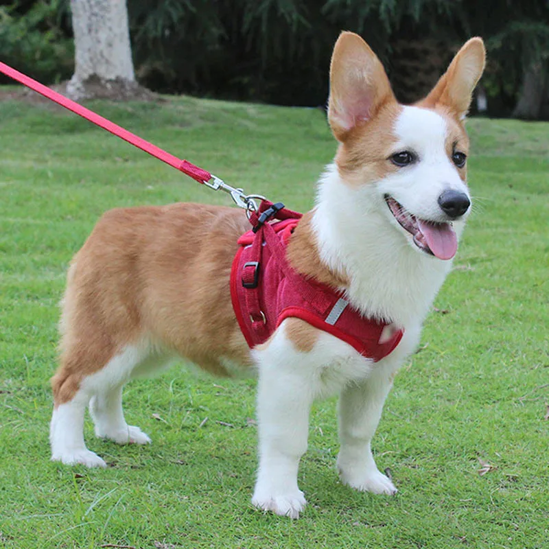 

Feel Comfortable To Wear, Simple To Wear, Mesh Breathable Pet New Vest Style With Reflective Traction Chest Back
