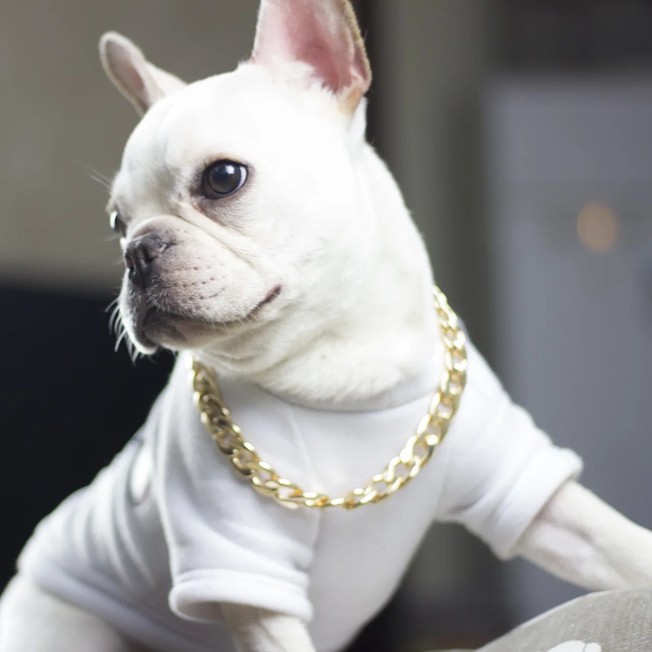 Tebru Dog Choke Chain,Dog Choke Collar,3 Sizes New Gold/Black Metal Snake  Chain Twisted Necklace Pet Dog Show Training Choker Collars 
