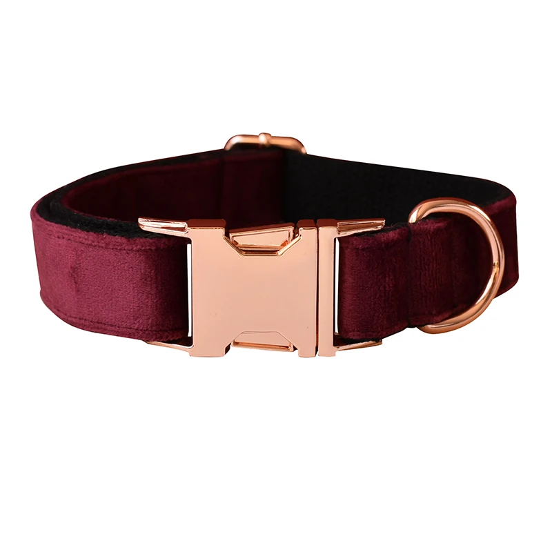 dog collar