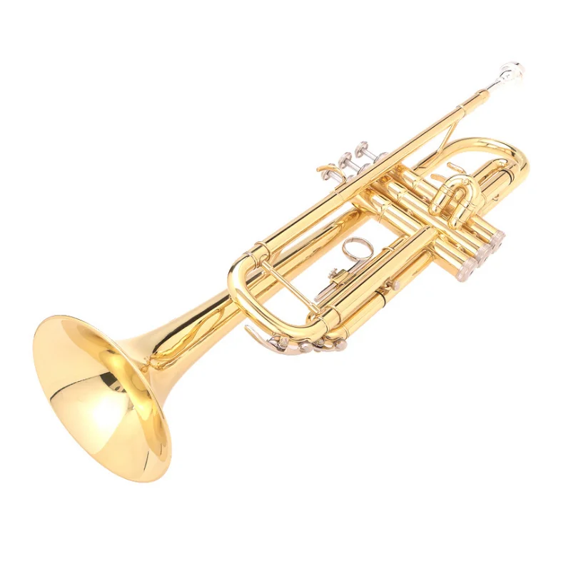 QQ图片20200219122159