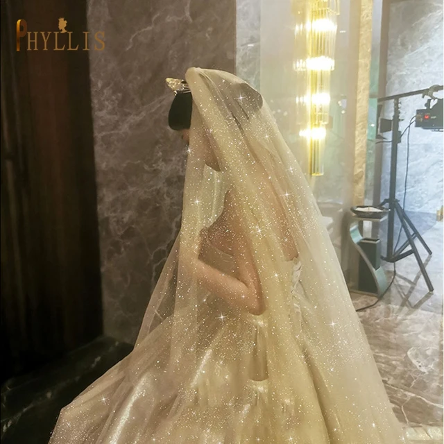 B58 Champagne Wedding Veil Bling Bridal Veils Long 3M/5M Sparkle Veil Cathedral Wedding Veils One Layer Shiny Veil with Comb Champagne