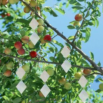 

16pcs Reflective Bird Deterrent Repellent Discs Double Sided Holographic Garden