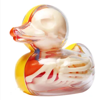 

Perspective bone anatomy model Small yellow duck 4d master puzzle Assembling toy