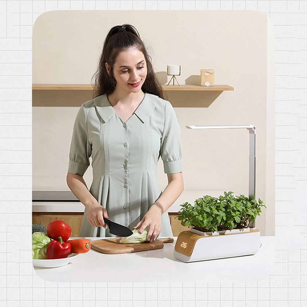 Indoor Herb Garden Starter Kit with Led Grow Light