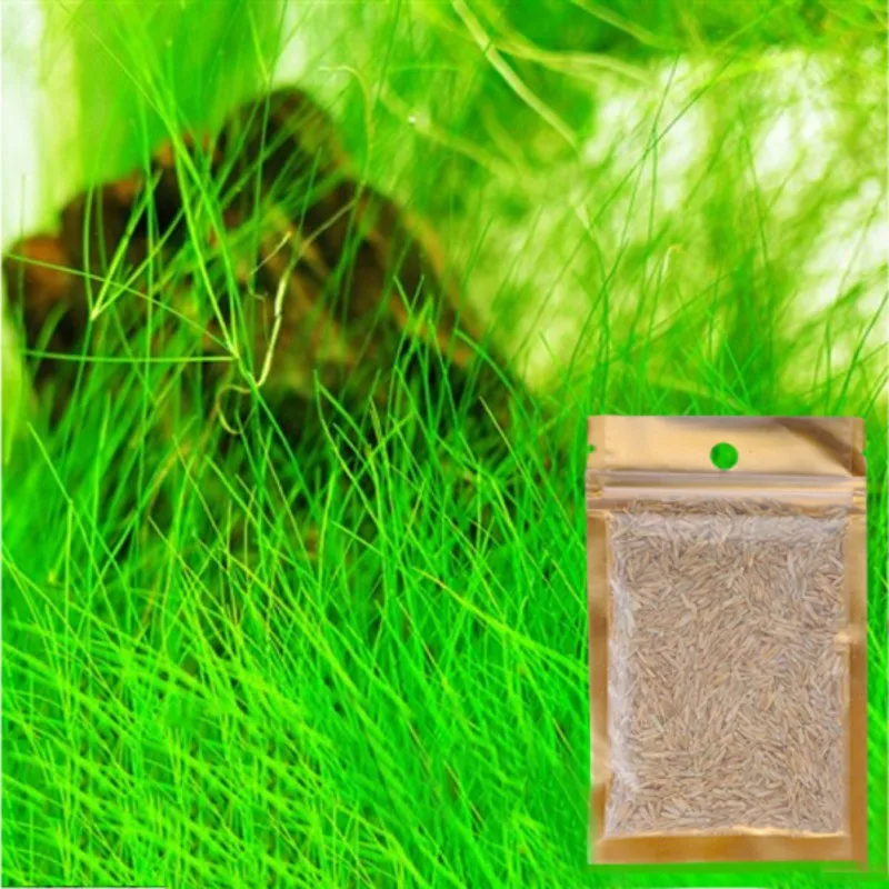 Водная трава мини-лист живой растения семена аквариума украшения Пейзаж орнамент аквариум Зеленая Трава Декор