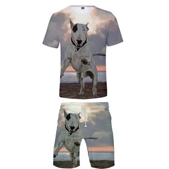 

2019 Terrier 3D print Basic Fashion Personality Street cool man 2 Pic Set cool hip hop Summer T-shirt+Short Pants Sets Sports