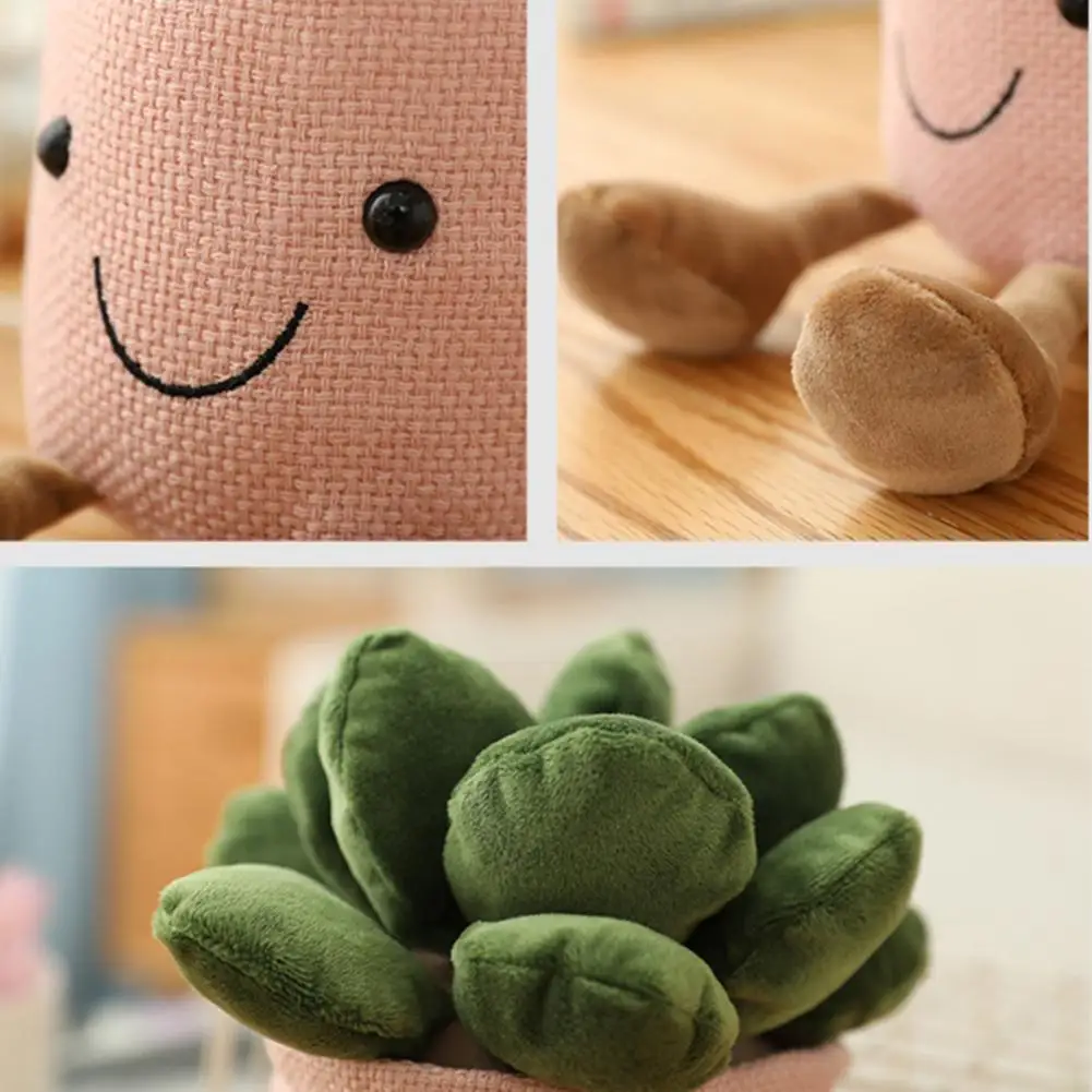 https://ae01.alicdn.com/kf/Hdf80f10f3777449b935a6b39139598b0a/Succulent-Plush-Toy-Smile-Display-Mold-Soft-Plants-Pillow-House-Decorations.jpg
