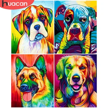

HUACAN DIY Pictures By Number Colorful Dog Kits Home Decor Painting By Numbers Animal Drawing On Canvas HandPainted Art Gift