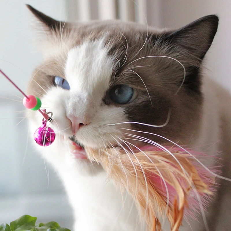 

[MPK Store] Feather Cat Toy, Cat Fishing Stick, Entertains Both Cats & Cat Owners