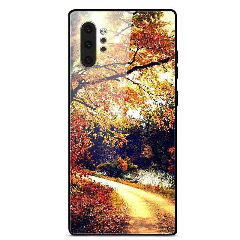 Для samsung Galaxy Note 10 чехол Note10 Pro закаленное стекло твердая задняя крышка для samsung Note10+ Plus 10Pro чехол для телефона s бампер Капа - Цвет: 55