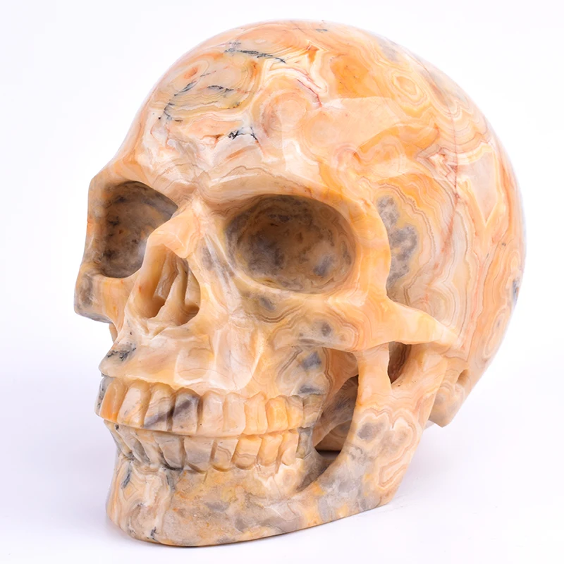 

Realistic Crystal Skull Carving Craft Sculpture Natural Yellow Crazy Lace Carved Healing Crystal Skull Statue Home Decor