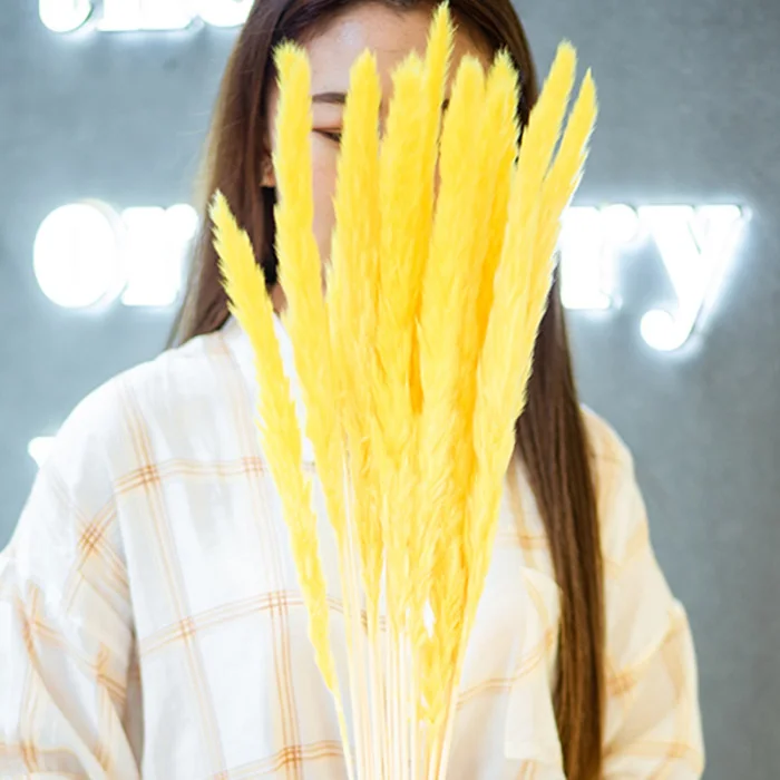 15 шт./пучок сушеных маленьких пампасов травы Phragmites украшения для дома, отеля, свадьбы TB распродажа