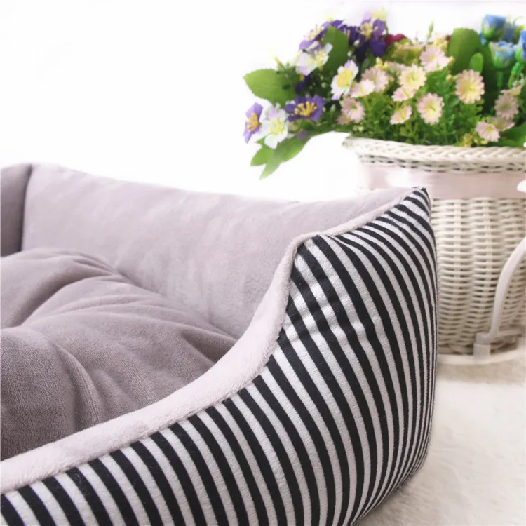 9390406722_1616473540