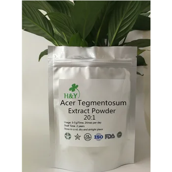 

150-1000g Free Shipping Health Supplement Acer Tegmentosum Maxim/ Tegmentosum Extract Powder 20:1 In Stock