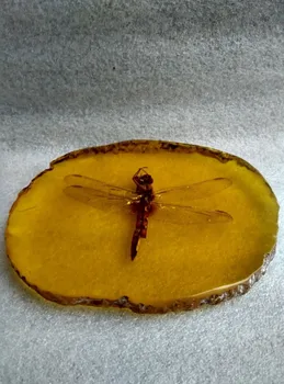 

Una colección de China Antigua. libélulas ámbar