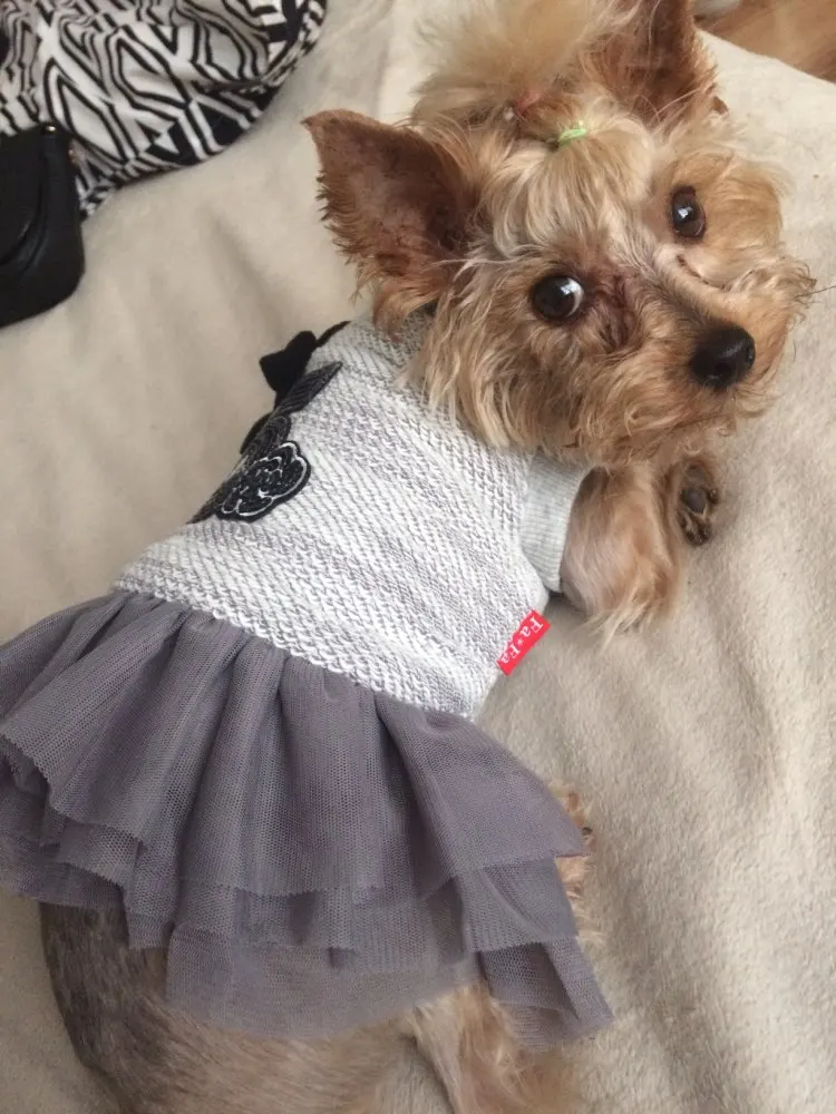 Uff98da812fda48e38cac236daec99fc8p