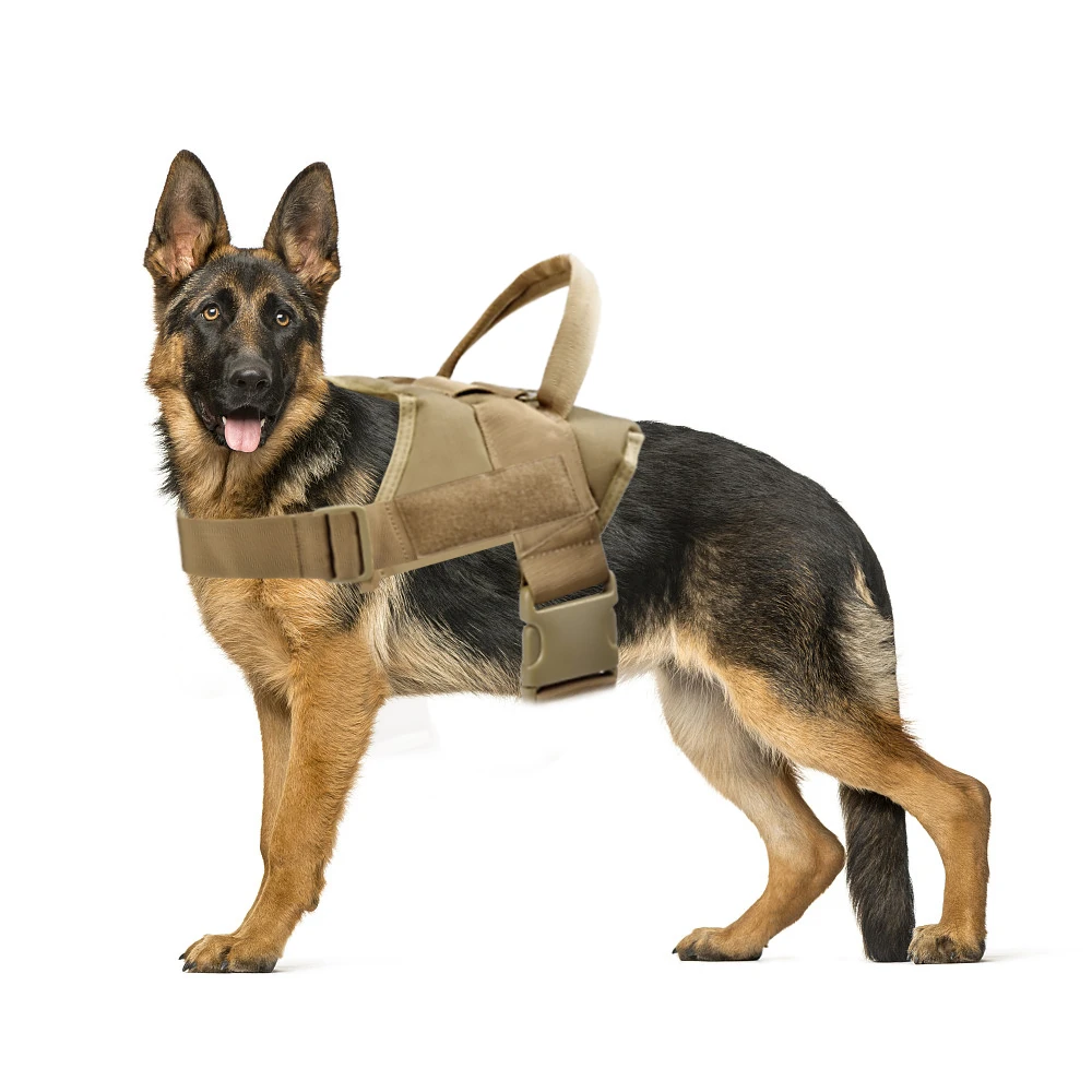 What Size Harness For 8 Week Old German Shepherd