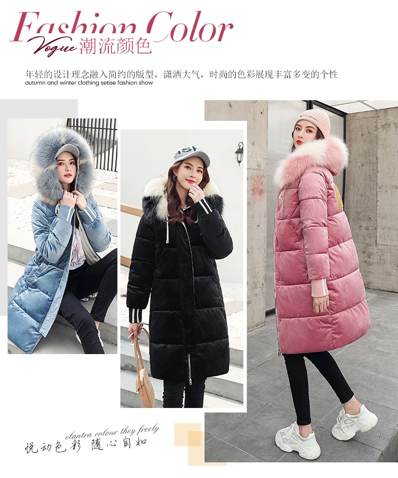 Cotton-padded Jacket New Style Women's Mid-length Korean-style Loose Thick down Feather Cotton-padded Clothes Gold Velvet W