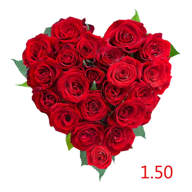 

Shipping Cost /Extra Fee /Repayment---1.50